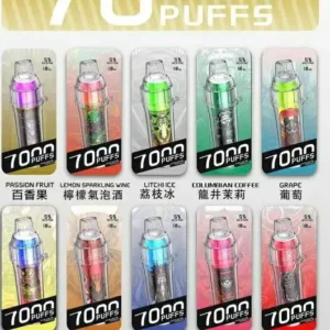 🔥台灣現貨🔥 HEBAT BOOM 喜貝 7000口大容量一次性電子煙 | 14ml煙油 | 5%尼古丁